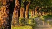 竞猜足球及时比分网-竞猜足球新利器,及时比分网——球迷的智慧伴侣