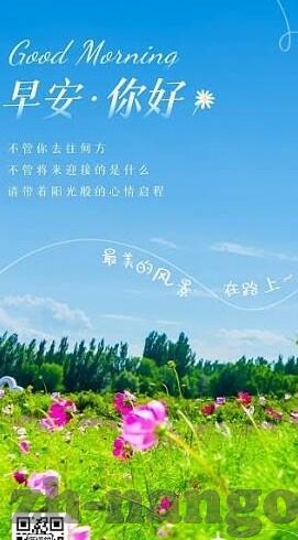 现场比分足球-实时脉搏,现场比分足球——一场数字与激情的交响乐