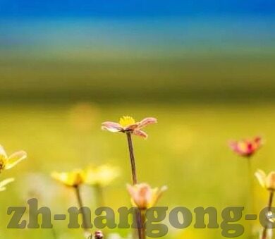 足球比分2串3-足球比分2串3,解锁高收益与风险控制的竞彩密码