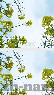 足球知道比分-足球知道比分,赛场风云的数字密码